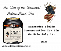 Surrender Fields Bohea Black Tea